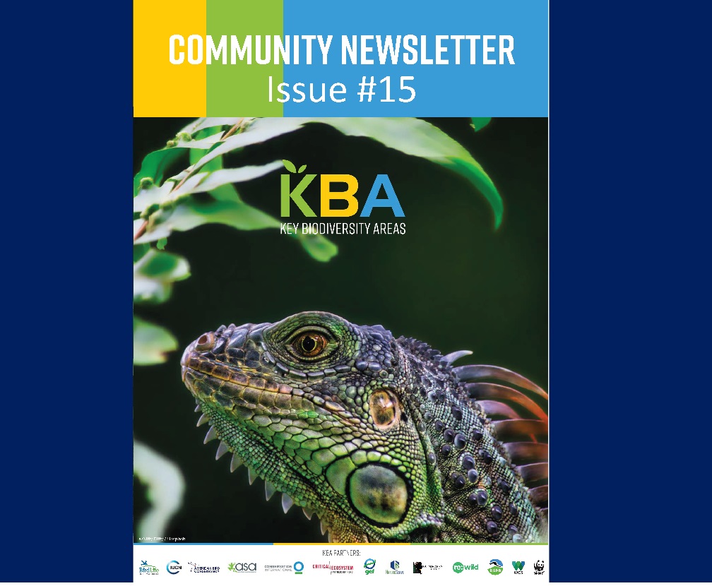 KBA Community Newsletter November 2023