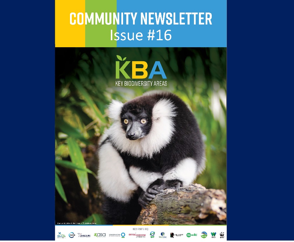 KBA Community Newsletter June 2024
