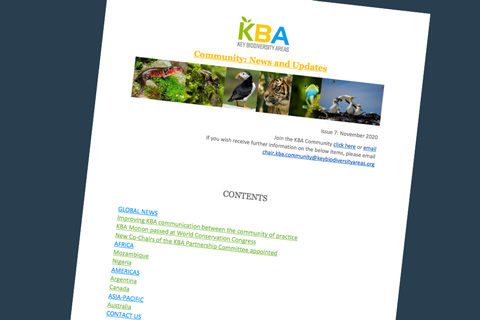 KBA Community Newsletter November 2020
